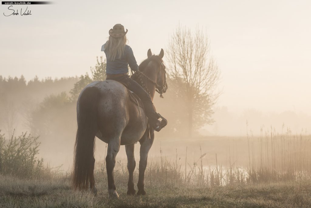 Pferdefotoshooting im Morgennebel | Pferdefotografie München | Westernreiten | Sarah Koutnik Fotografie