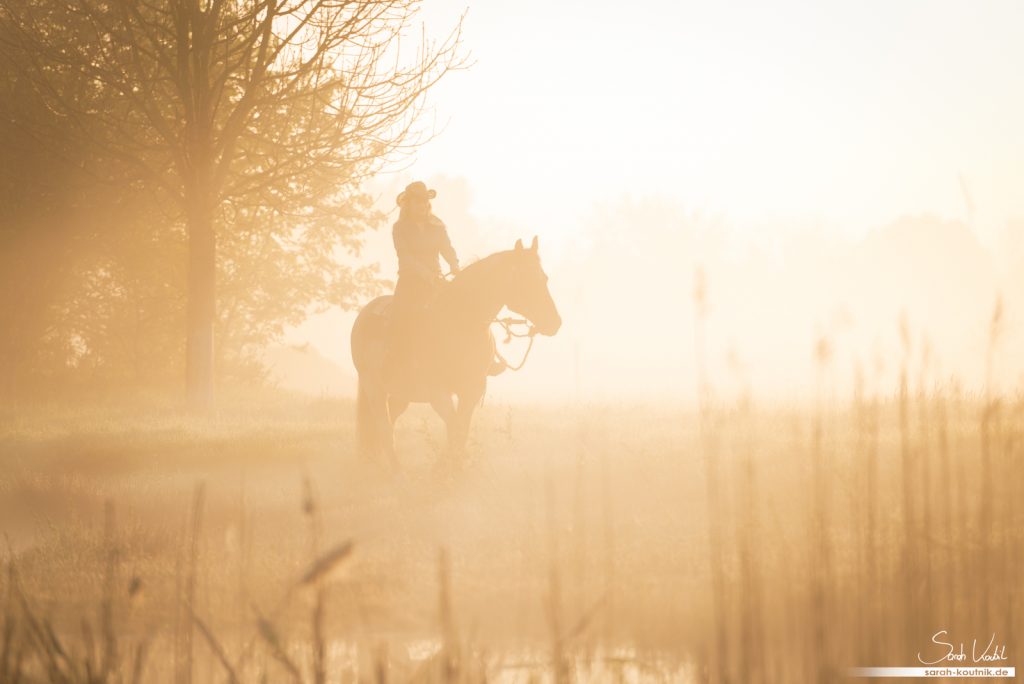 Pferdefotoshooting im Morgennebel | Pferdefotografie München | Westernreiten | Sarah Koutnik Fotografie