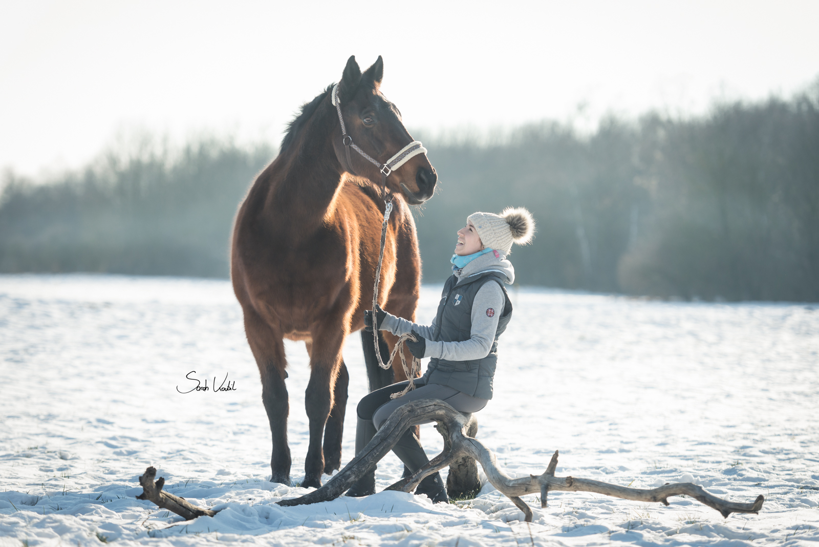 Fotoshooting mit Pferd im Schnee | Pferdefotografie | Sarah Koutnik Fotografie