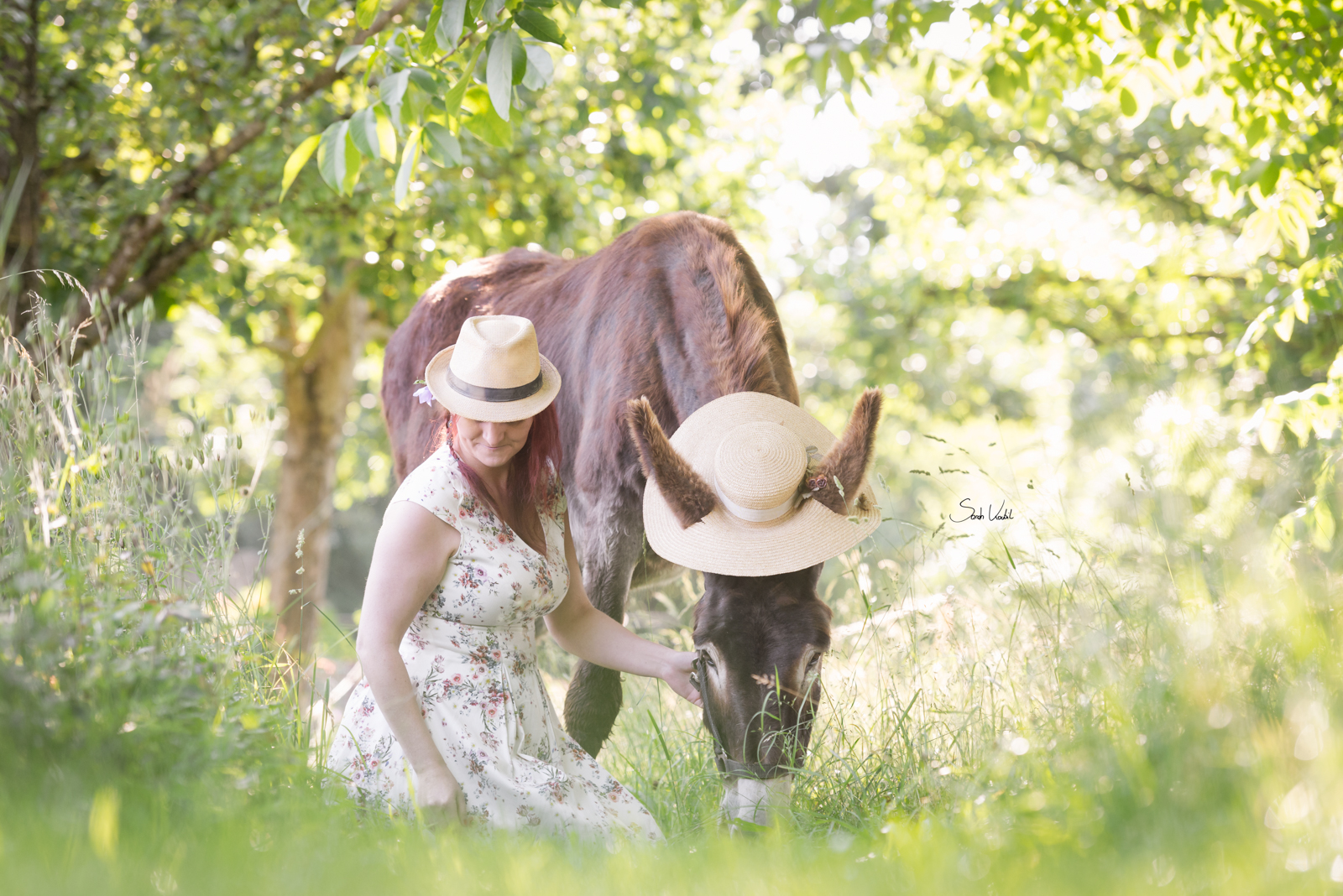 Eselfotoshooting | Blogbeitrag über die Angst | Pferdefotografie | Sarah Koutnik | München
