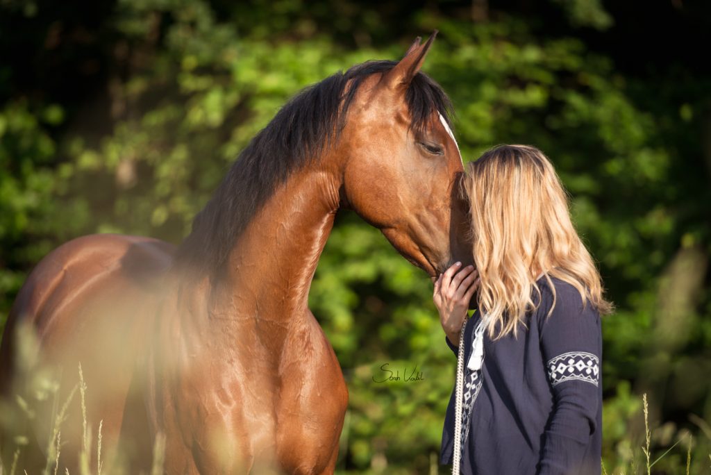 Braune Stute mit Blesse | Pferdefotoshooting | Gewinnspielshooting | Sarah Koutnik Fotografie | Pferdefotografie München